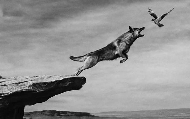 The-Power-of-Self-Destruction